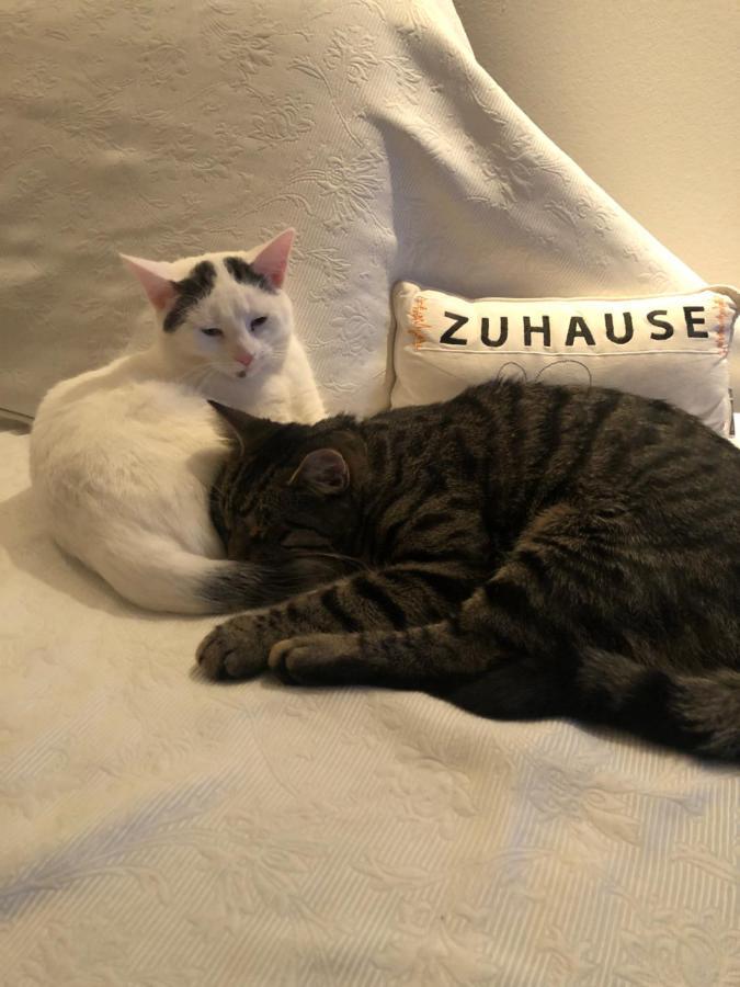 Apartament Stilvoll Urlaub Machen! Dudenhofen Zewnętrze zdjęcie